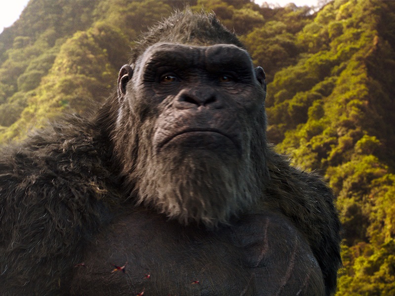 Godzilla vs. Kong Godzilla vs. Kong