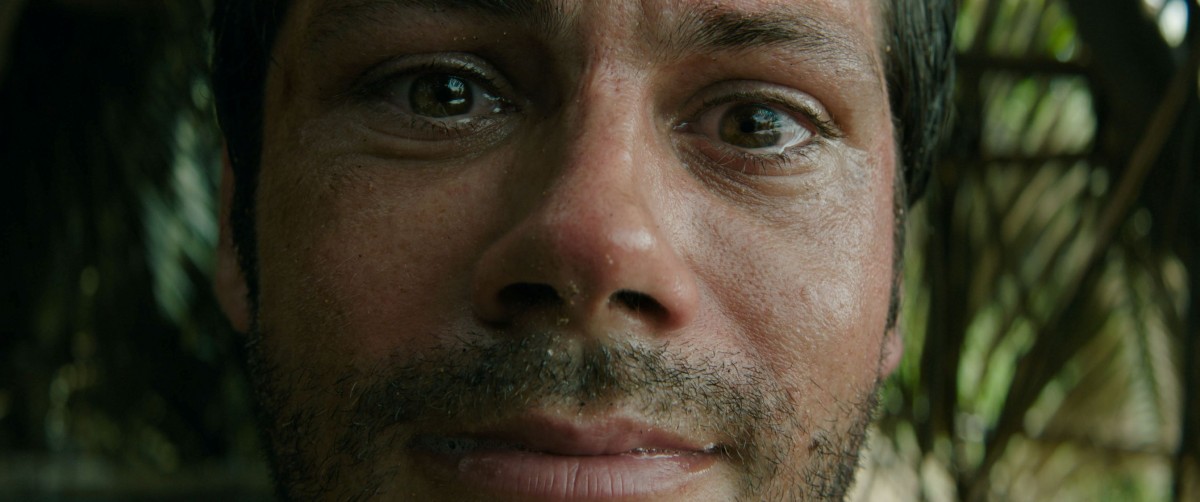 Dylan O'Brien katsoo silmät kosteina suoraan kameraan elokuvassa Send Help (© 20th Century Studios)
