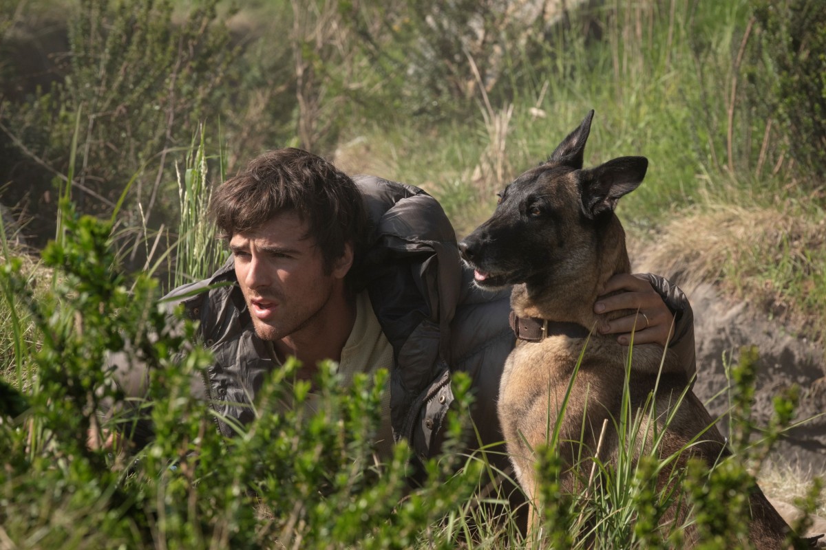 Jacob Elordi ja koira piileskelevät puskan takana elokuvassa The Dog Stars (© 20th Century Studios)