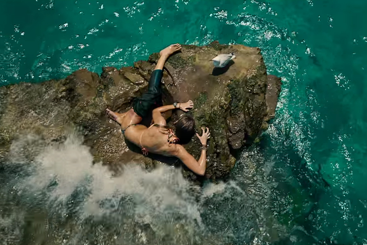 Shallows, The Shallows, The